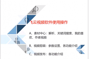 飞云视频助手